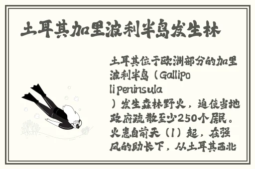 粉色苏州晶体abb